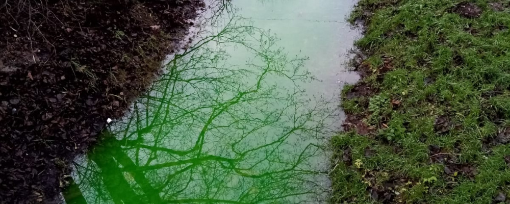 Zaļais ūdens ir videi un cilvēkiem drošs