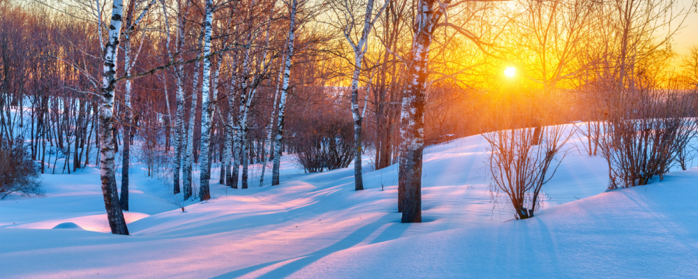 Siltumenerģijas patēriņš decembrī un janvārī