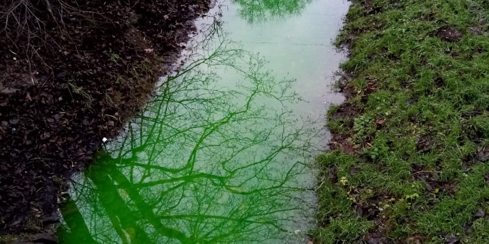 Zaļais ūdens ir videi un cilvēkiem drošs