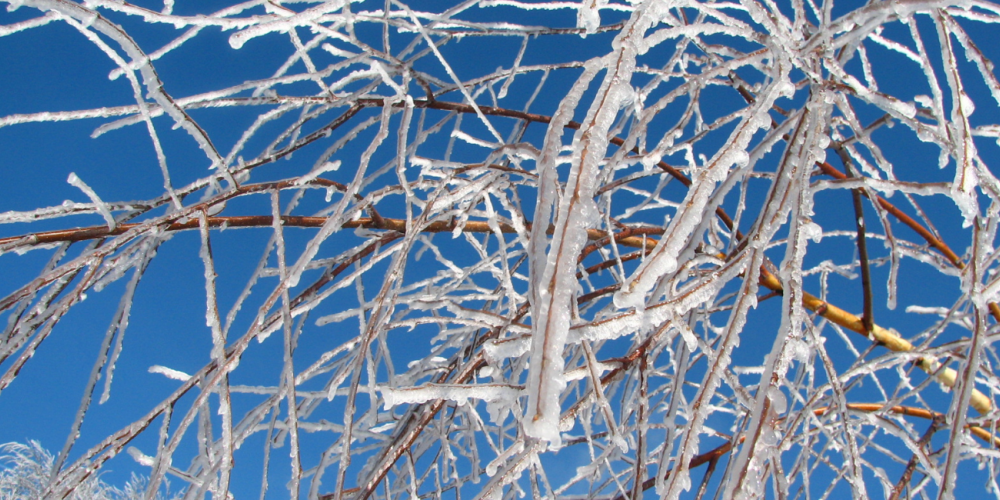 Decembris - aukstākais pēdējo deviņu gadu laikā