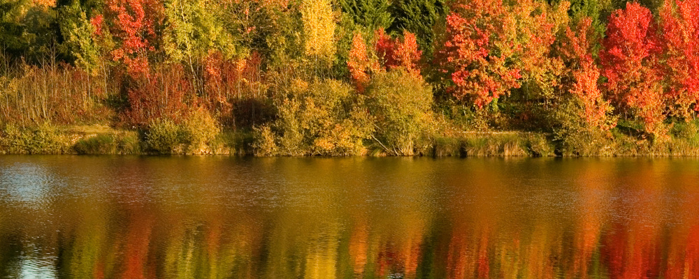 Patērētā siltumenerģija novembrī