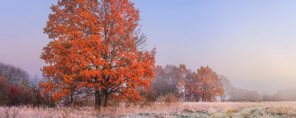 Patērētā siltumenerģija oktobrī un novembrī