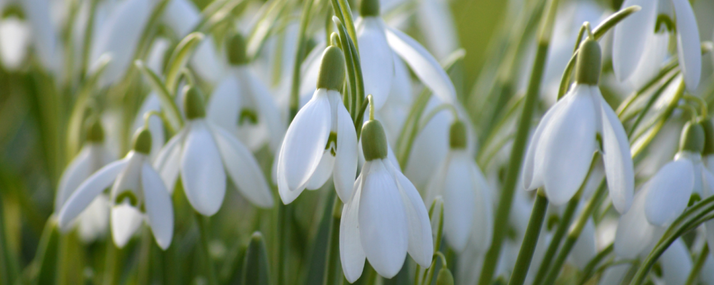 Siltumenerģijas tarifa izmaiņas no 1. aprīļa