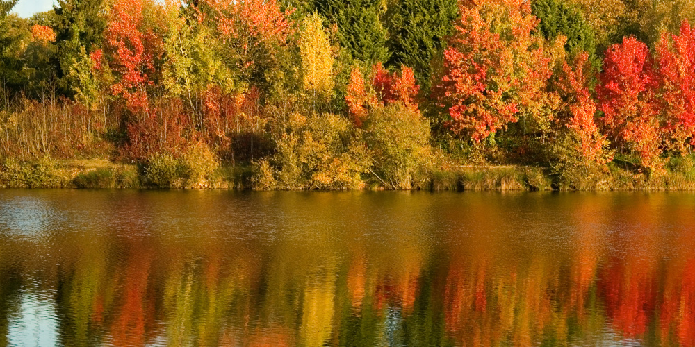 Patērētā siltumenerģija novembrī