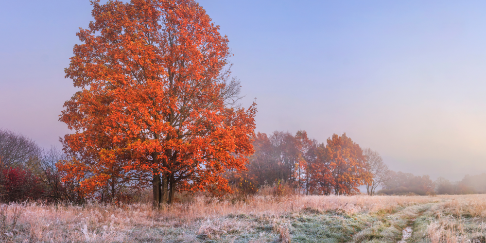 Patērētā siltumenerģija oktobrī un novembrī